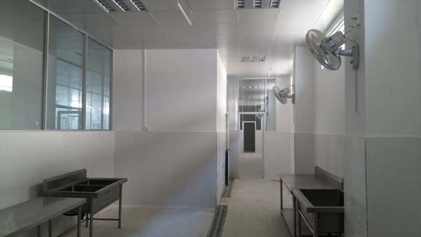 �ό��S���b���OӋ