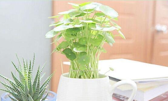 南寧辦公室裝修 南寧辦公室裝修