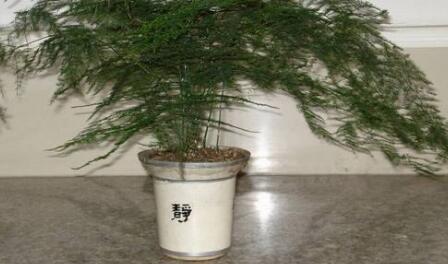 �ό��k�����b��