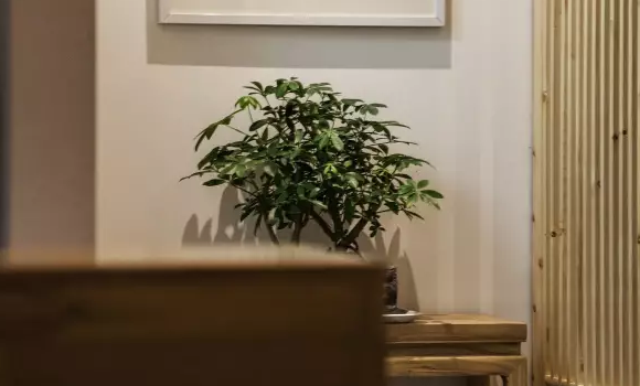 �ό��b�޹�˾