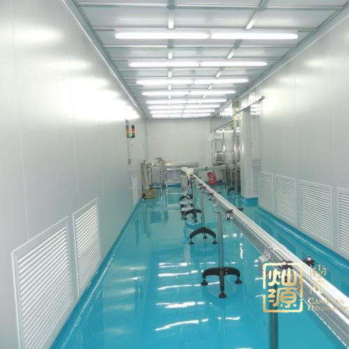 �ό��S���b���OӋ