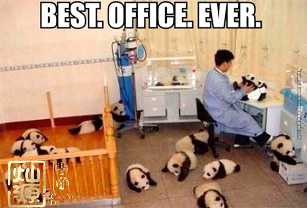 �_��Ц������Ц��