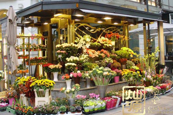 �����b�ތ�(sh��)���D